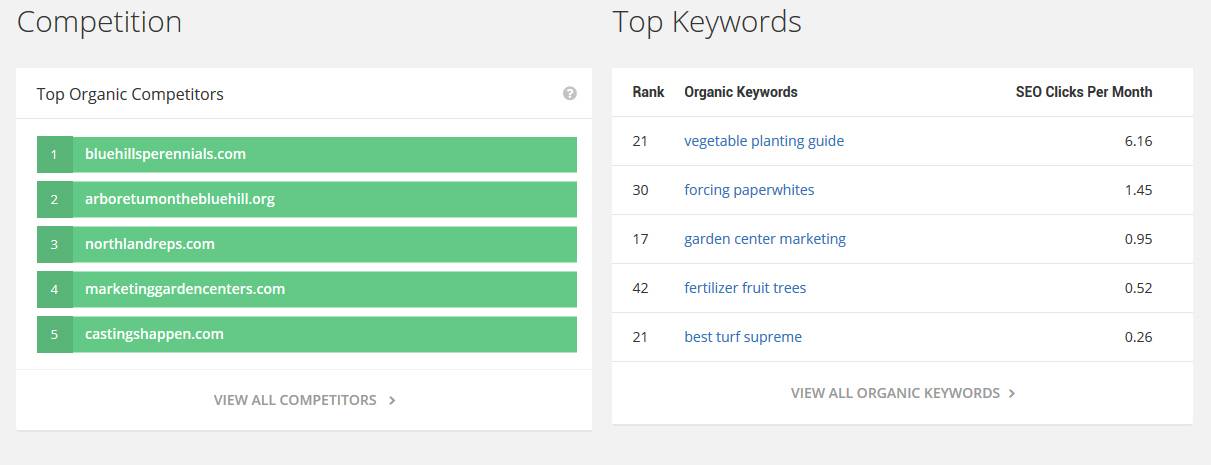 competition sites top competition keywords report